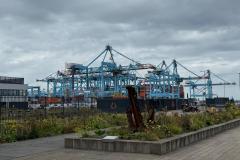WhatsApp-Image-2026-07-24-at-10.16.50-AM