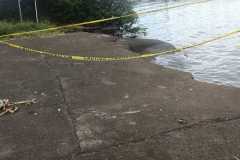 IMG-20260309-WA0031