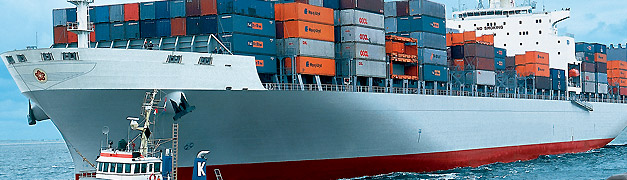 img_mercante.jpg
