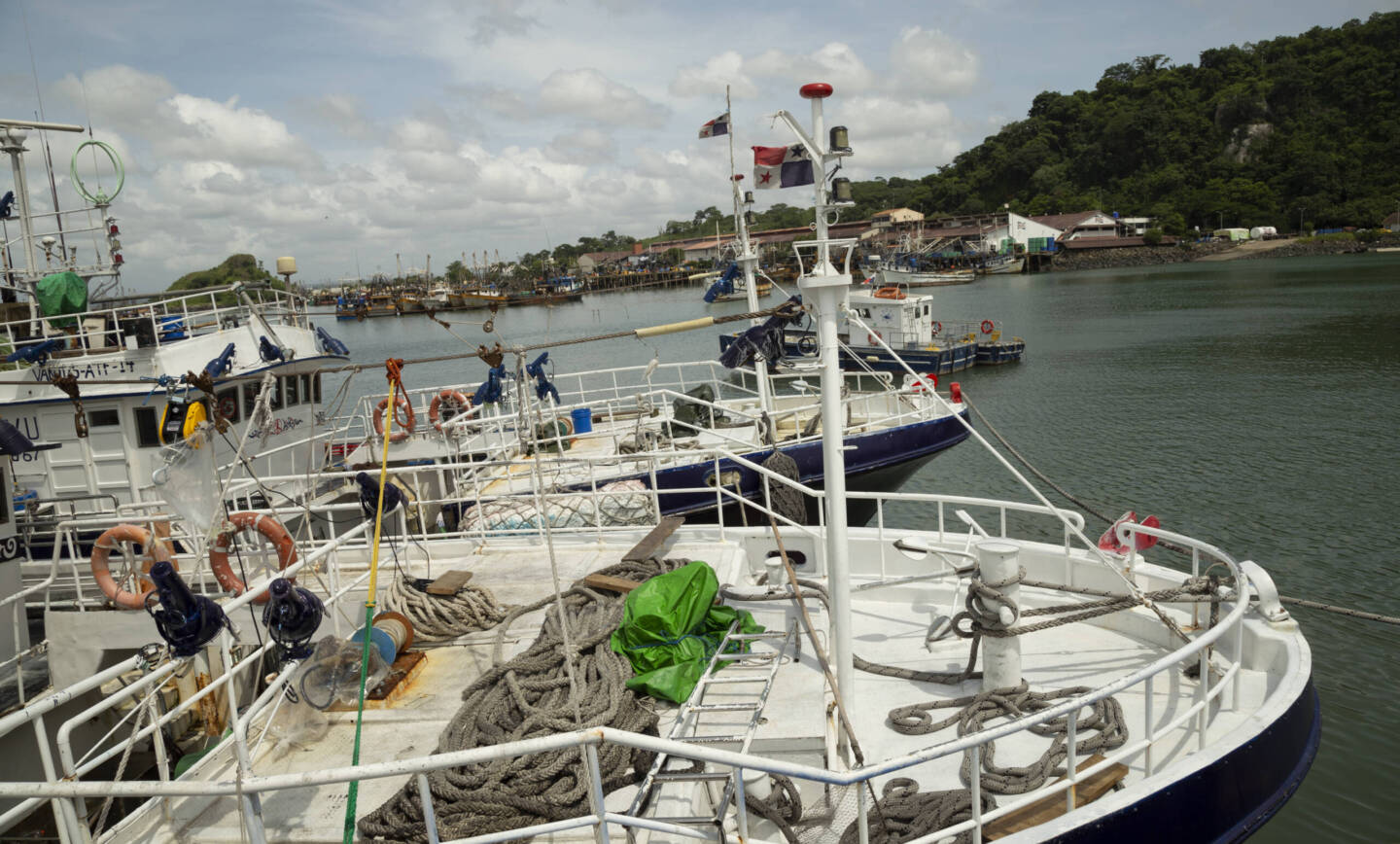 PANAMÁ MOVILIZA 9.9 MILLONES DE LIBRAS DE ESPECIES MARINAS EN PUERTOS ADMINISTRADOS POR LA AMP