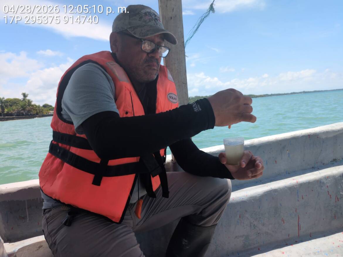 Biologos-realizan-estudio-ambiental-en-nuevo-Muelle-MultipropOsito-de-Puerto-Armuelles-5.jpeg